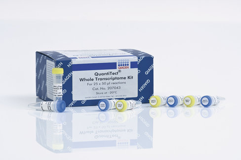 QuantiTect Whole Transcriptome Kit (25)