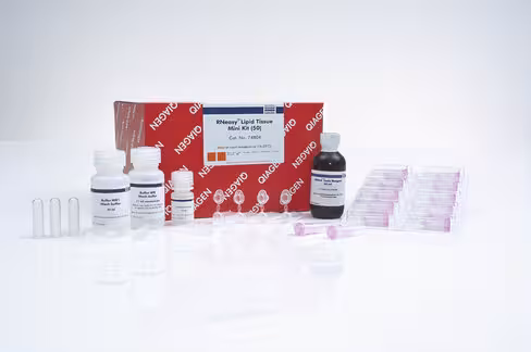 RNeasy Lipid Tissue Mini Kit (50)