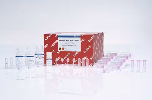 RNeasy Plus Mini Kit (50)