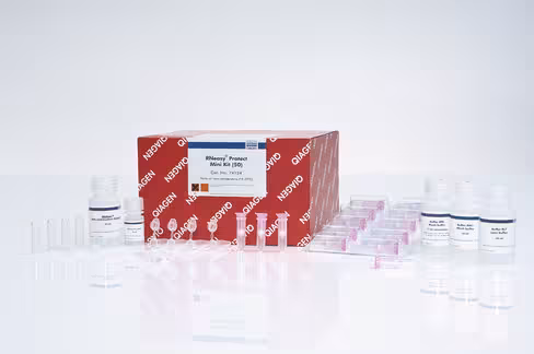 RNeasy Protect Mini Kit (50)