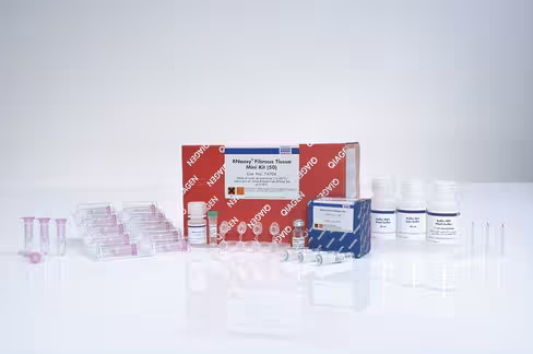 RNeasy Fibrous Tissue Mini Kit (50)