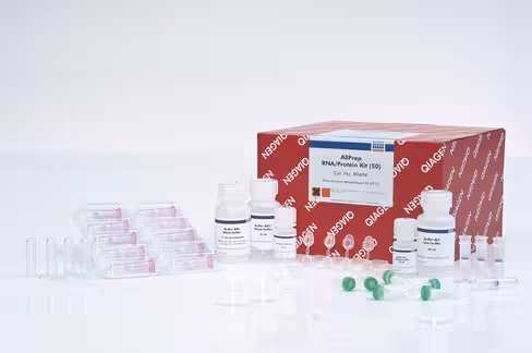 AllPrep RNA/Protein Kit (50)