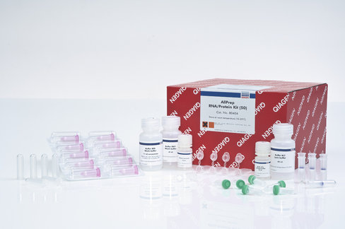 AllPrep RNA/Protein Kit (50)