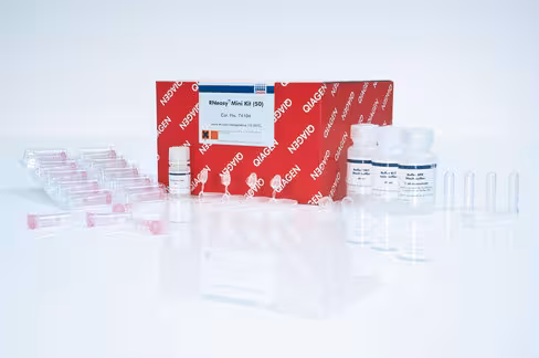 RNeasy Mini Kit (50)