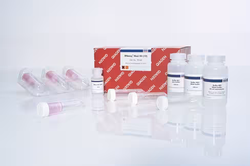 RNeasy Maxi Kit (12)