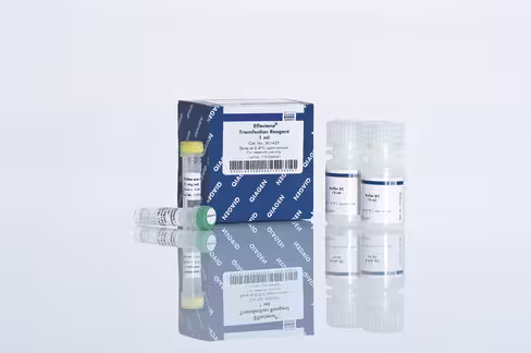 Effectene Transfection Reagent (1 ml)