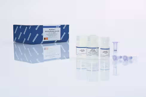 MinElute PCR Purification Kit (50)