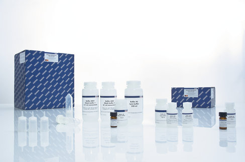 QIAamp DNA Blood Maxi Kit (50)