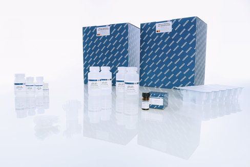 QIAamp DNA Blood Mini QIAcube Kit