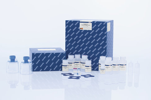 EndoFree Plasmid Mega Kit (5)