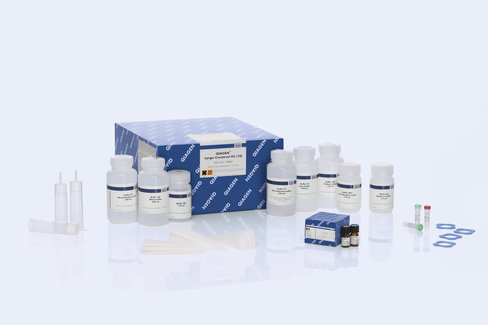 QIAGEN Large-Construct Kit (10)