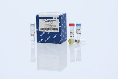 REPLI-g Mitochondrial DNA Kit (25)