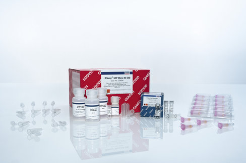 RNeasy UCP Micro Kit (50)