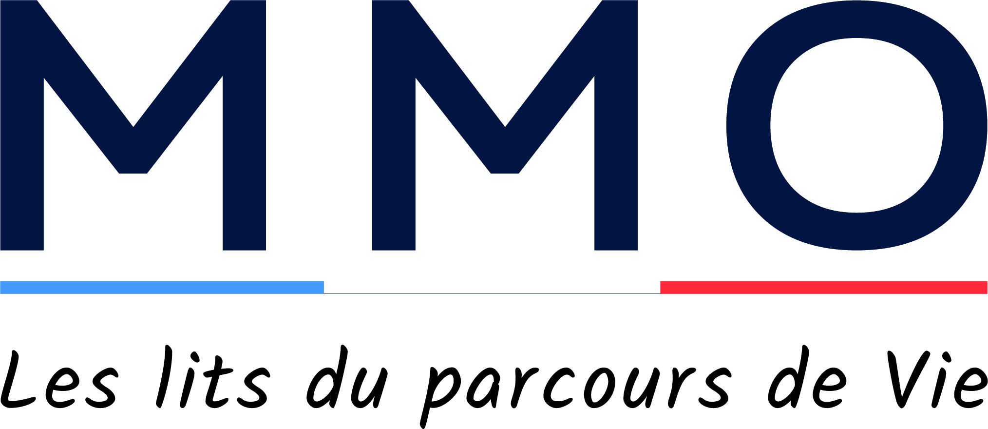 Société NOUVELLE MMO