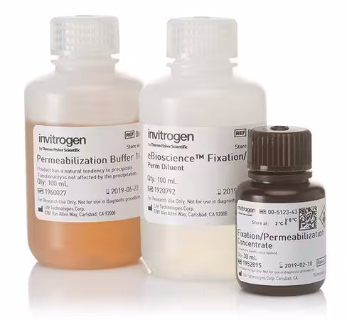 Ebioscience foxp3 / transcription factor staining buffer set-1 kit