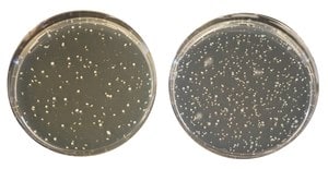 MUP SELECTIVE SUPPLEMENT 10 X 1 VIAL 1SET 10 VIAL