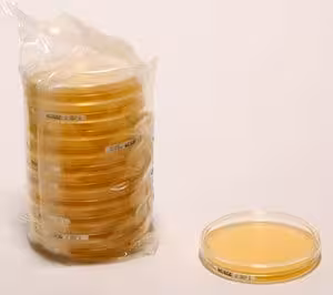 Malt extract agar, for microbiology 100 g