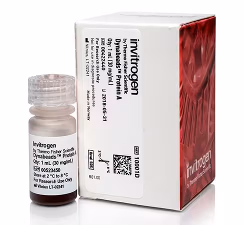 Dynabeads protein a for immunoprecipitation-1 ml