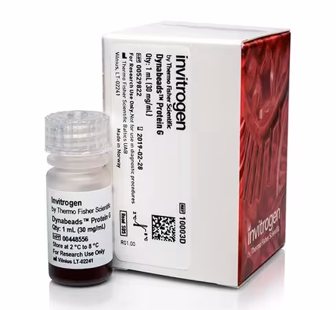 Dynabeads protein g for immunoprecipitation-1 ml