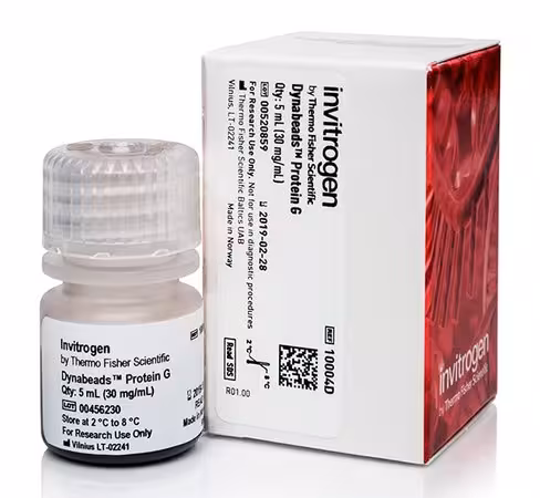 Dynabeads protein g for immunoprecipitation-5 ml