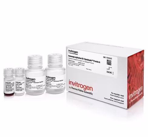 Dynabeads protein a immunoprecipitation kit-40 réactions