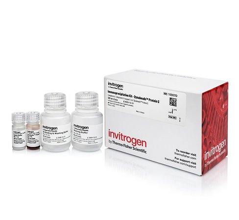 Dynabeads protein g immunoprecipitation kit-40 réactions