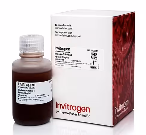 Dynabeads protein g for immunoprecipitation-50 ml