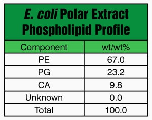 E. coli Extract Polar Avanti Polar Lipids 100600P, powder, 100 mg