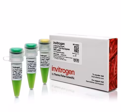 E-gel 1 kb plus express dna ladder-100 applications