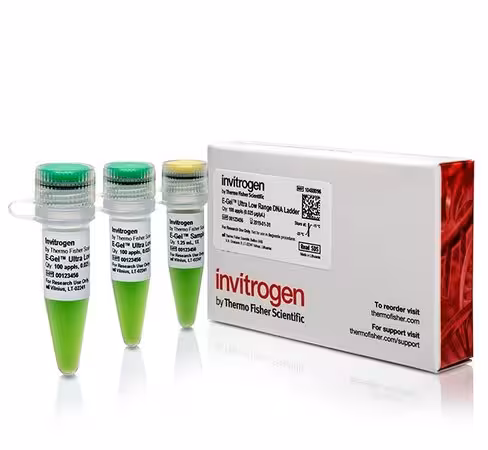 E-gel ultra low range dna ladder-100 applications
