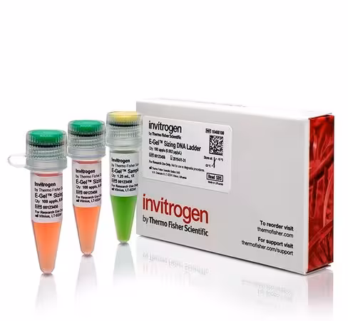 E-gel sizing dna ladder-100 applications