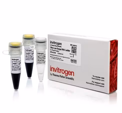Ultra low range dna ladder-50 µg
