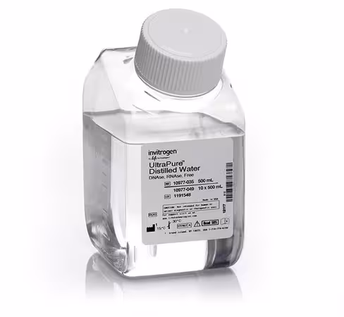 Ultrapure dnase/rnase-free distilled water-500 ml
