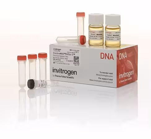 Electromax dh5a-e competent cells-5 x 100 µL