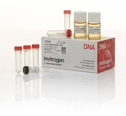 Electromax dh5a-e competent cells-5 x 100 µL