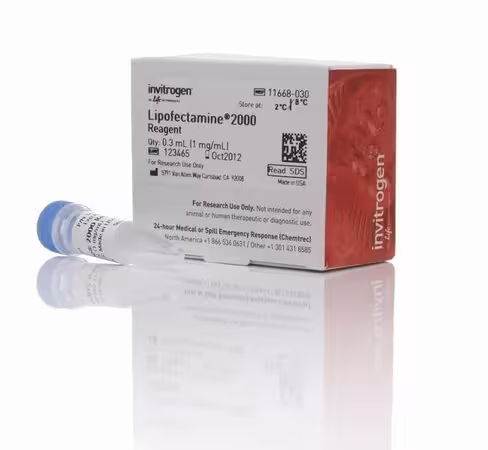 Lipofectamine 2000 transfection reagent-0.3 ml