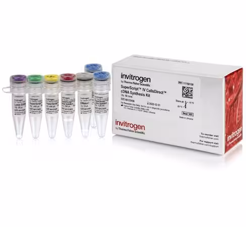 Superscript iv cellsdirect cdna synthesis kit-50 réactions