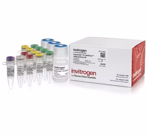 Superscript iv cellsdirect cdna synthesis kit-500 réactions