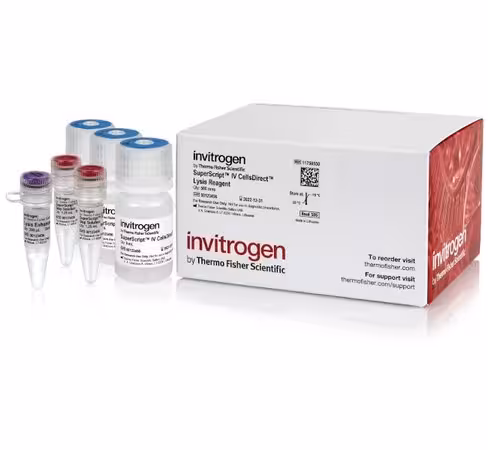 Superscript iv cellsdirect lysis reagents-500 réactions