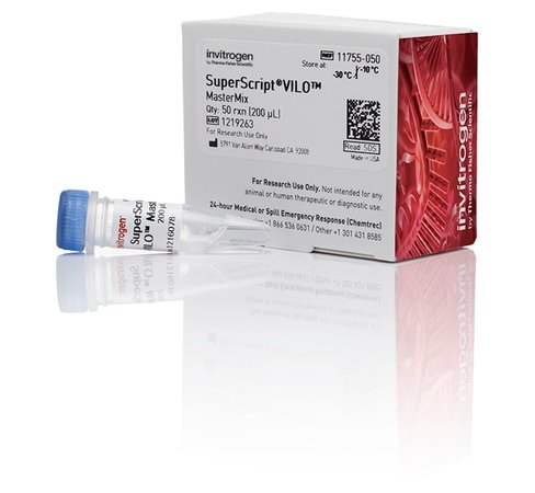 Superscript vilo master mix-50 réactions