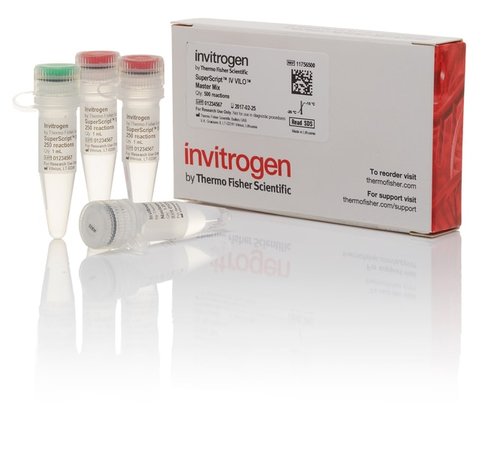 Superscript iv vilo master mix-500 réactions