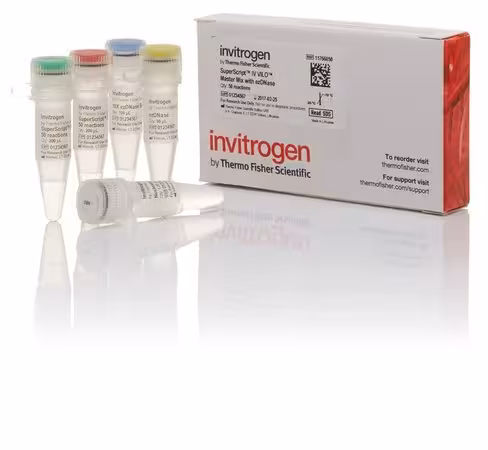 Superscript iv vilo master mix with ezdnase enzyme-50 réactions