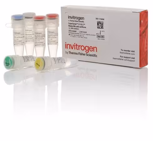 Superscript iv vilo master mix with ezdnase enzyme-500 réactions