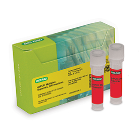 DdPCR Multiplex Supermix 200 x 20 µl reactions 4x supermix 0,5 mL
