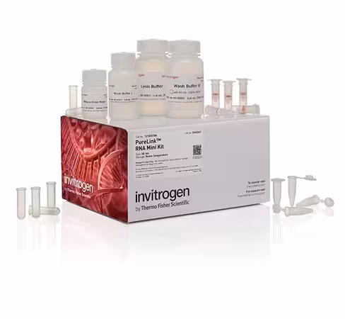 Purelink rna mini kit-50 preps