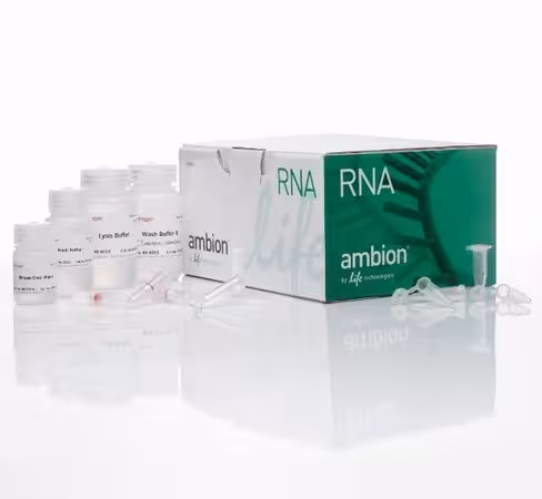 Purelink rna mini kit-250 preps
