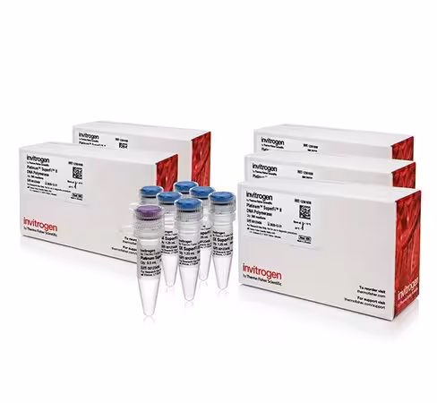 Platinum superfi ii dna polymerase-5 x 500 réactions