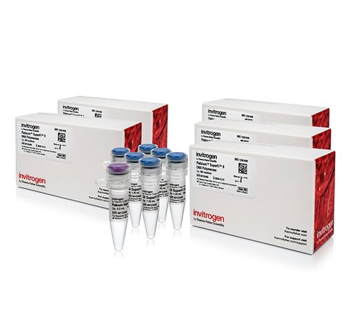 Platinum superfi ii dna polymerase-5 x 500 réactions