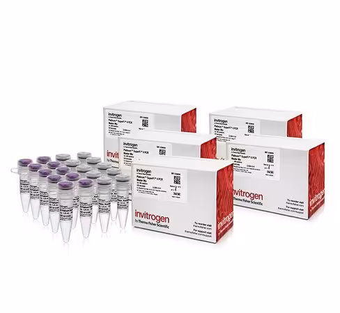 Platinum superfi ii pcr master mix-5 x 500 réactions