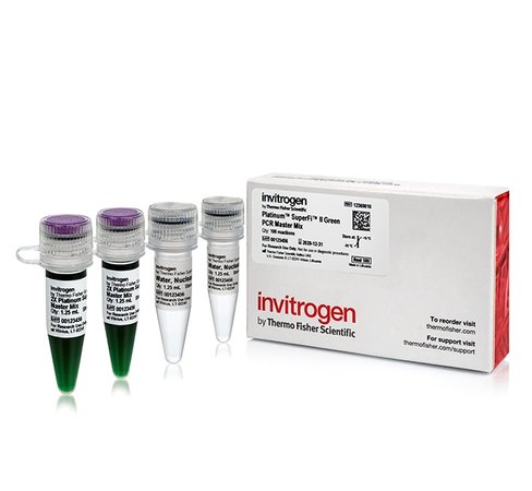Platinum superfi ii green pcr master mix-100 réactions